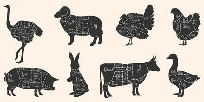 Silhouette Diagramme von schneidet von Rindfleisch, Schweinefleisch, Lamm, Kaninchen, Huhn, Ente, Strauß und Truthahn. dunkel Silhouetten auf ein Weiß Hintergrund. Vektor eps 10,