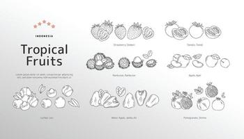 isoliert tropisch Früchte Gliederung Illustration vektor