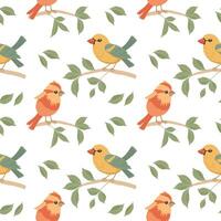 sömlös mönster, söt ljus fåglar på träd grenar på en vit bakgrund. vår illustration i platt tecknad serie stil. vektor