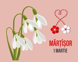 martisor, Moldovan und rumänisch traditionell Frühling Urlaub. Strauß von Weiß Schneeglöckchen. Blumen- Frühling Hintergrund, Postkarte, Vektor