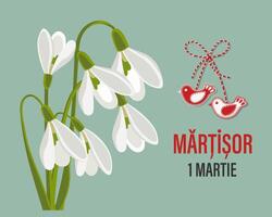 martisor, Moldovan und rumänisch traditionell Frühling Urlaub. Strauß von Weiß Schneeglöckchen. Blumen- Frühling Hintergrund, Postkarte, Vektor