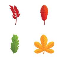 Herbst Blatt Symbole einstellen Karikatur Vektor. Baum Blatt von verschiedene Farbe vektor