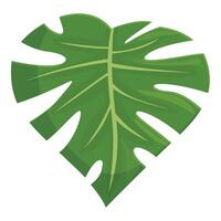 blühen Urwald Pflanze Symbol Karikatur Vektor. Monstera Blatt vektor