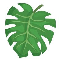 tropisch Monstera Symbol Karikatur Vektor. Pflanze Grün Blatt vektor