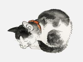 Schlafende Katze von K? No Bairei (1844-1895). Digital verbessert aus unserer eigenen Originalausgabe von Bairei Gakan von 1913 vektor