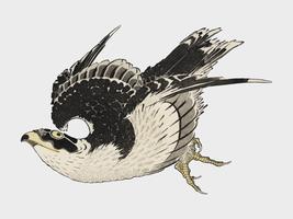 Ukiyo-e illustrationen, Hawk av Katsushika Hokusai (1849), ett porträtt av en flygande hök i himlen. Digitalförstärkt från vårt eget antika träblockstryck. Digitalt förbättrad av rawpixel. vektor