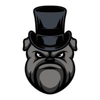 bulldogg tophat design vektor