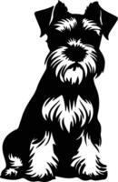 miniatyr- schnauzer svart silhuett vektor