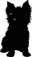 norwich Terrier schwarz Silhouette vektor