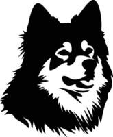 finnisch Lapphund Silhouette Porträt vektor