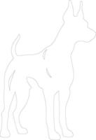 Dobermann Pinscher Gliederung Silhouette vektor