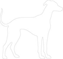 Whippet Gliederung Silhouette vektor