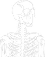 skelett översikt silhuett vektor