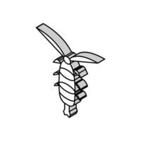 Zooplankton Ozean isometrisch Symbol Vektor Illustration