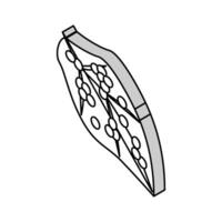 ägg silkesmask isometrisk ikon vektor illustration