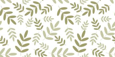 vektor sömlös mönster med grön akacia löv på vit. vektor platt lövverk ändlös bakgrund för textil, tyg, omslag, tapet. botanik dekoration med lövverk, vår trädgård mall