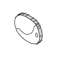 kiwi färsk isometrisk ikon vektor illustration
