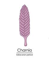 Charnia, ein ediacaran Zeitraum Kreatur bunt Illustration vektor