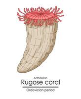 rugose korall, ett Ordovician period varelse vektor