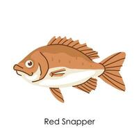 röd snapper ätlig salt vatten fisk element vektor