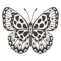 Schmetterling, Vektor Illustration. y2k Stil ästhetisch, Flügel gestalten im Vorderseite Sicht, Magie Zier Symbol. schwarz und Weiß Element, tätowieren Grafik drucken