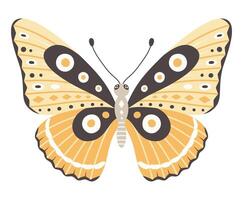 Schmetterling Vektor Illustration. bunt Gelb Flügel mit Punkte Ornament, Vorderseite Sicht, ein Symbol zum tätowieren Design. Sommer- Hintergrund, fliegen Insekt
