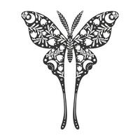 Schmetterling Symbol mit Blumen- Ornament. Jahrgang Silhouette von schwarz und Weiß mystisch Schmetterling oder Motte. fliegend himmlisch Insekt, Vektor Illustration