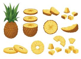 Ananas Satz. tropisch frisch ganze und geschält Obst Stücke, Karikatur natürlich Süss reif Ananas köstlich roh Snack. bunt Vektor isoliert Sammlung