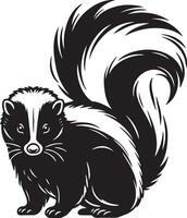 skunk skiss illustration. vektor
