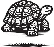 Schildkröte skizzieren Zeichnung. vektor