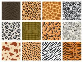 Tier Muster. Tiger Leopard Zebra Haut Textur Sammlung, Reptil und Säugetier tarnen Drucken, Tier Pelz Muster. Vektor Safari Hintergrund
