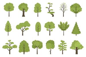 eben Wald Bäume Symbole, Garten oder Park Landschaft Elemente. Karikatur einfach Sommer- Baum Stamm, Blätter und Geäst. Natur Bäume Vektor einstellen