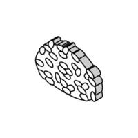 Kalrose Reis isometrisch Symbol Vektor Illustration