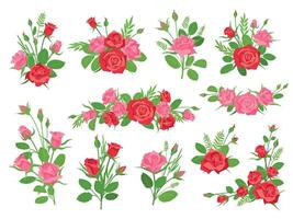 Karikatur Rosa und rot Rose Blumen- Blumensträuße mit Blätter und Gras. Jahrgang romantisch Strauß mit Blumen und Knospen. Rosen Dekoration Vektor einstellen
