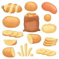 Karikatur geschält roh Kartoffel, geschnitten und Französisch Fritten. Kartoffeln im Tasche, gehackt, Chips und Scheiben. Bauernhof frisch Gemüse, Kartoffel schneidet Vektor einstellen