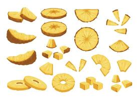 Ananas Stücke Sammlung. bunt Karikatur tropisch Obst Ring Scheiben, Süss saftig reif Ananas Abschnitte gesund natürlich Lebensmittel. Vektor isoliert einstellen