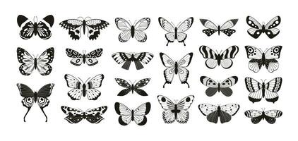 Schmetterlinge Silhouetten. Motte und Schmetterling Flügel Muster Laser- Schnitt Umriss. fliegend Insekt dekorativ Element. Schmetterlinge tätowieren Vektor einstellen