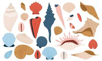 Meer Muscheln. Karikatur bunt Marine Muscheln, nautisch Marine Schaltier, Jakobsmuschel und Muschel, Sommer- Strand Ferien eben Design. Vektor isoliert einstellen