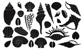 schwarz Muscheln. exotisch Muscheln Silhouetten von verschiedene Formen und Formen, tropisch Marine Tier Mollusken eben Symbole. Vektor isoliert Sammlung