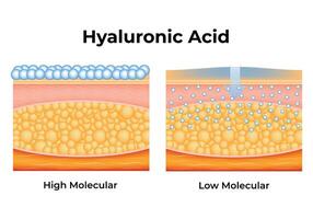 hyaluronic Acid Wissenschaft Design Vektor Illustration Diagramm