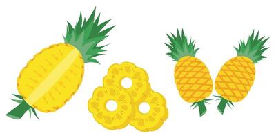halv och skära skiva ananas illustration isolerat på vit bakgrund. vektor