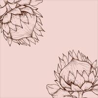 Blumen- Vektor Illustration. tropisch afrikanisch Rose Protea Tinte Hand gezeichnet Gemälde zum Hochzeit, Einladung, Gruß Karte, Logo Design, lighr Linie auf braun Hintergrund