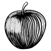 Apfel Symbol im skizzieren Stil vektor