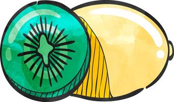 Kiwi Obst Symbol im Farbe Zeichnung. Essen gesund saftig frisch köstlich vektor
