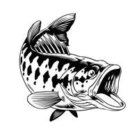 vektor illustration av largemouth bas fisk isolerat