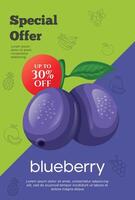 Flyer Besondere Angebot zum Blaubeere Obst Produkt. Obst Beförderung Flyer vektor