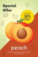 Flyer Besondere Angebot zum Pfirsich Obst Produkt. Obst Beförderung Flyer vektor