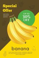 Flyer Besondere Angebot zum Banane Obst Produkt. Obst Beförderung Flyer vektor