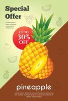 Flyer Besondere Angebot zum Ananas Obst Produkt. Obst Beförderung Flyer vektor