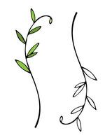 minimal Hand gezeichnet Blumen- botanisch Kritzeleien. modisch Elemente von wild und Garten Pflanzen, Geäst, Blätter, Blumen, Kräuter. Vektor Illustration zum Logo oder Tätowierung, Einladung, speichern das Datum, Karte